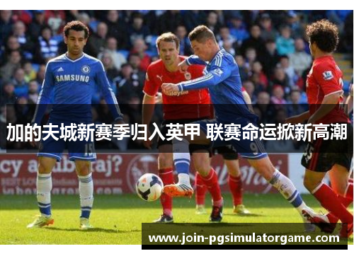 加的夫城新赛季归入英甲 联赛命运掀新高潮