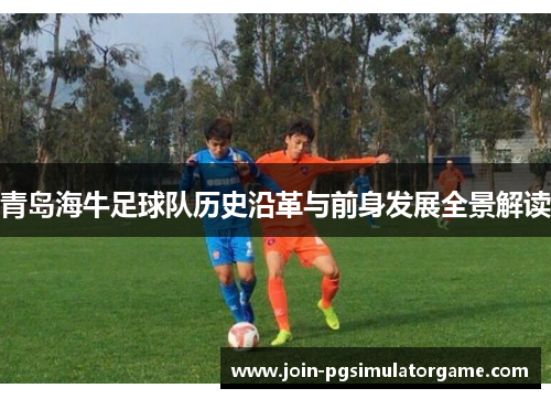 青岛海牛足球队历史沿革与前身发展全景解读