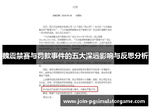 魏震禁赛与罚款事件的五大深远影响与反思分析